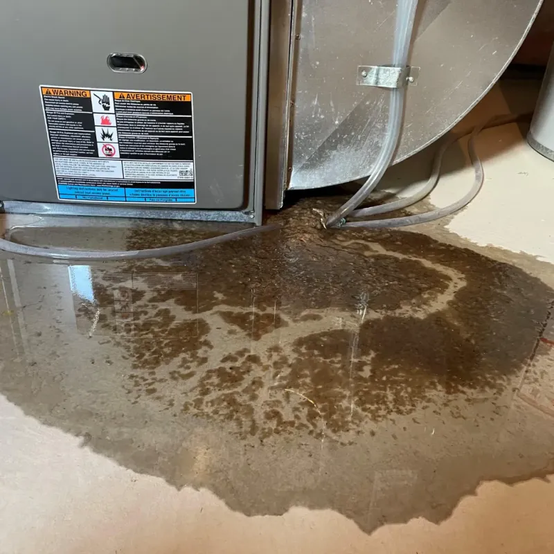 Appliance Leak Cleanup in Kealakekua, HI