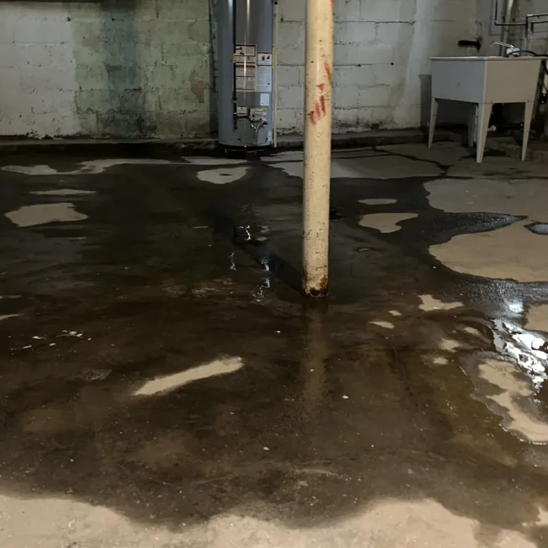 Emergency Water Extraction And Removal in Kealakekua, HI